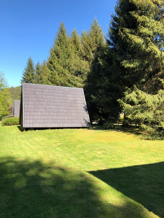 Ferienhaeuser Am Waldschloesschen Lautenthal المظهر الخارجي الصورة