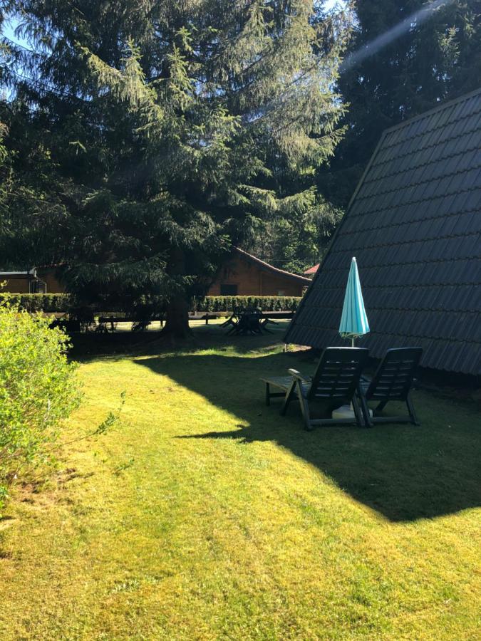 Ferienhaeuser Am Waldschloesschen Lautenthal المظهر الخارجي الصورة