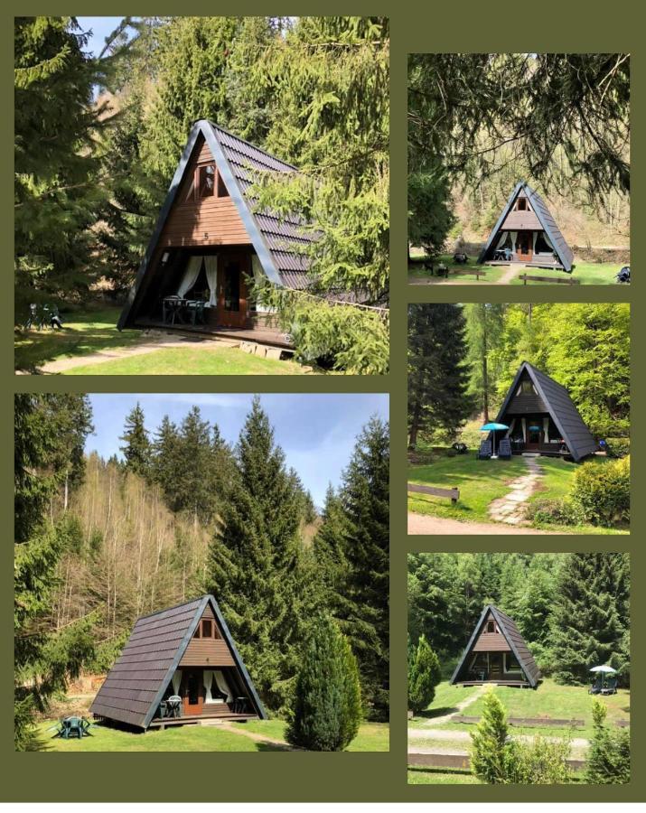 Ferienhaeuser Am Waldschloesschen Lautenthal المظهر الخارجي الصورة