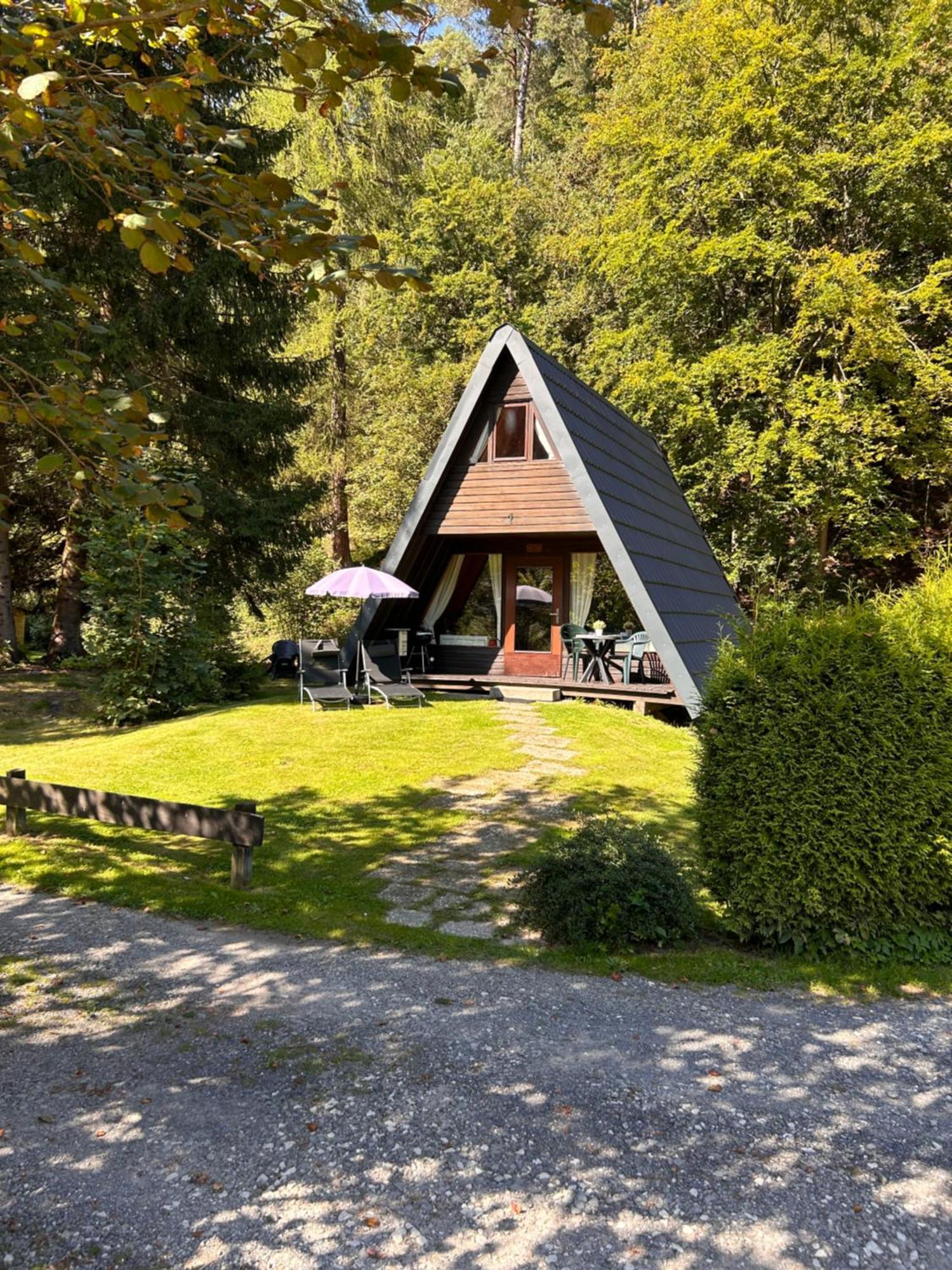 Ferienhaeuser Am Waldschloesschen Lautenthal المظهر الخارجي الصورة