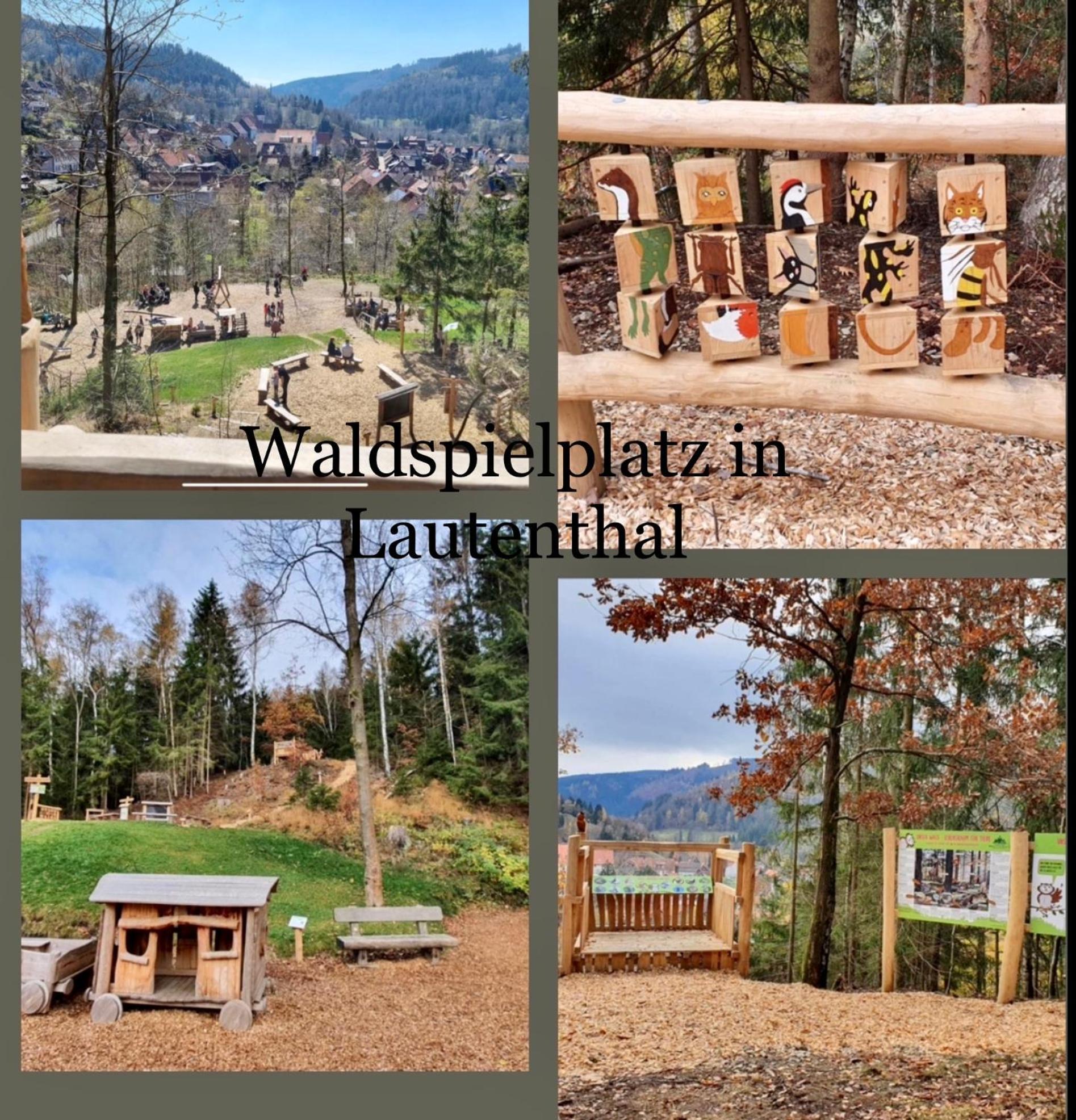 Ferienhaeuser Am Waldschloesschen Lautenthal المظهر الخارجي الصورة
