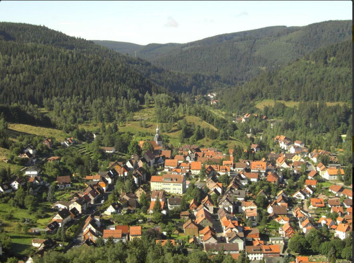 Ferienhaeuser Am Waldschloesschen Lautenthal المظهر الخارجي الصورة