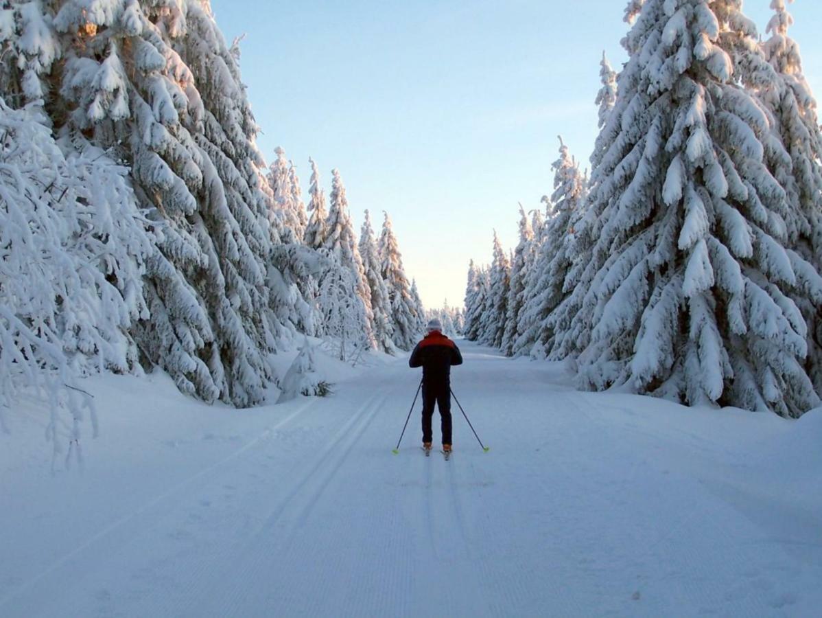 Ferienhaeuser Am Waldschloesschen Lautenthal المظهر الخارجي الصورة