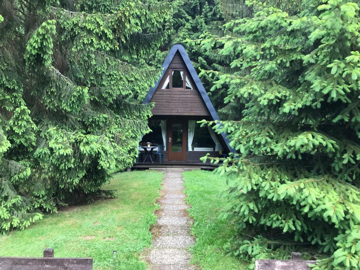 Ferienhaeuser Am Waldschloesschen Lautenthal المظهر الخارجي الصورة